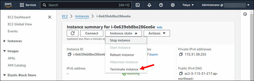 AWS Console: Terminate Instance